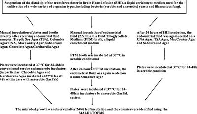 Endometrial microbiota profile in in-vitro fertilization (IVF) patients by culturomics-based analysis